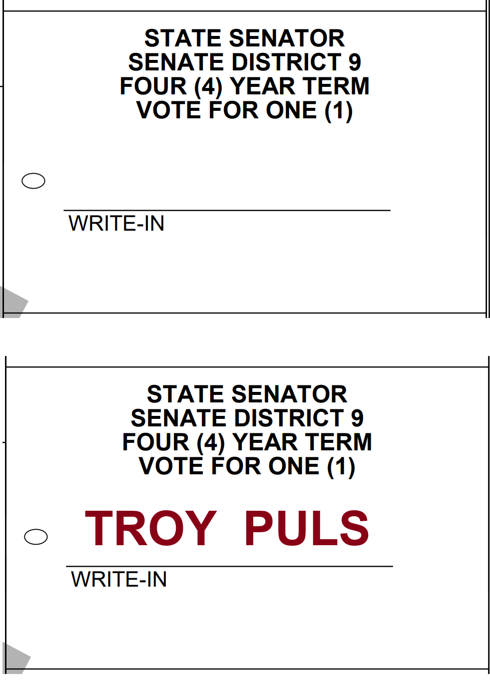 Sample Wyoming State Senate District 9 ballot showing TROY PULS written in with the bubble filled